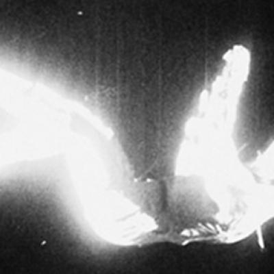 Scrisoare către univers - ALB - 911