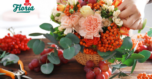  Floria.ro lansează colecția de toamnă și mizează pe o creștere de 15% în acest sezon