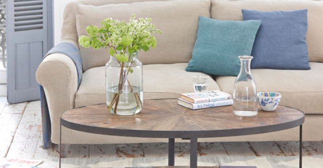 Ce plante alegi, in functie de stilul decorativ al locuintei?