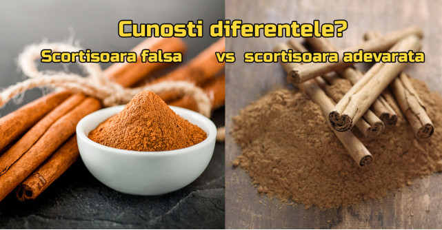 Scorțișoara falsă vs scorțișoara adevărată: cunoști diferențele?
