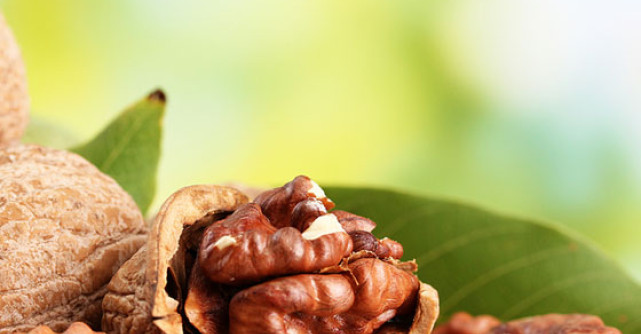 Nucile, sursa de sanatate, de la COAJA pana la MIEZ