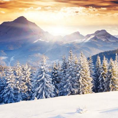 O colectie deosebita de citate despre iarna