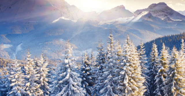 O colectie deosebita de citate despre iarna