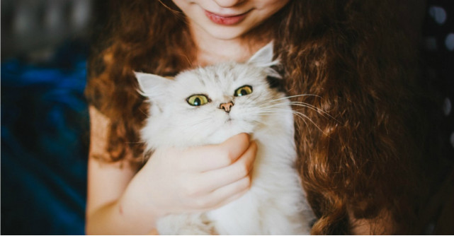 Copiii si pisicile. Cateva lucruri pe care parintii ar trebui sa le stie