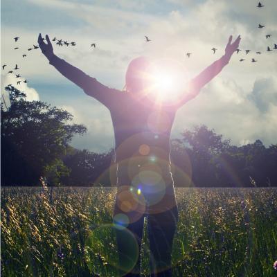 1o filme de vazut cand treci printr-o perioada grea. Iti vor face ziua mai frumoasa!