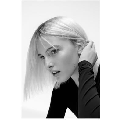 Sebastian Professional – o nouă identitatea globală 