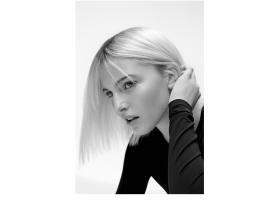 Sebastian Professional – o nouă identitatea globală