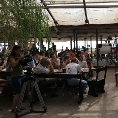 Programul ultimelor trei zile de Stufstock