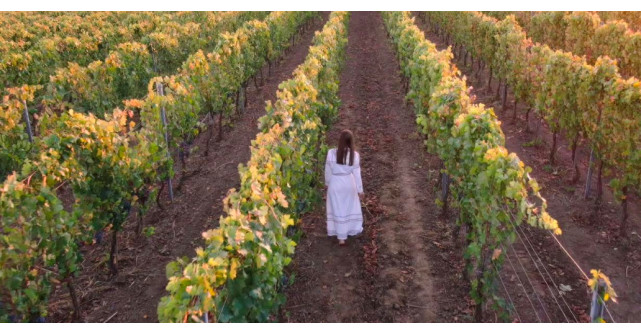 Domeniul Bogdan și Festivalul de Film Anonimul: O Întâlnire a Autenticității și Naturii