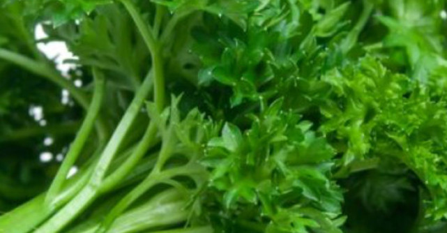 Minunea nestiuta din bucatarie: Patrunjelul