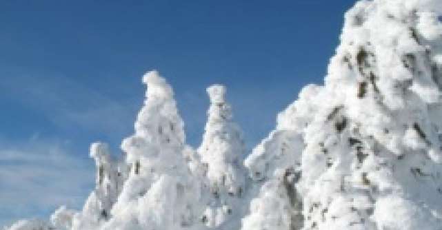 Cele mai bune oferte pentru statiunile de schi din Austria