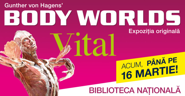 La solicitarea publicului, expoziția BODY WORLDS – Vital extinde perioada de vizitare