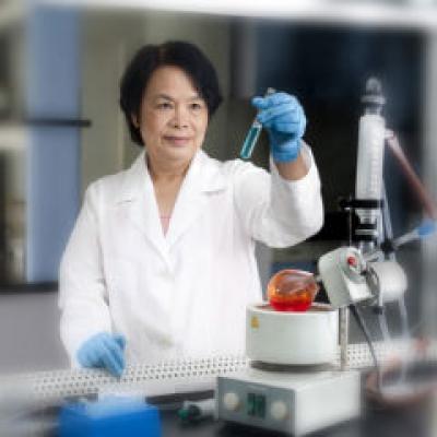 Burse pentru cercetatoarele din Romania,  prin programul UNESCO LOreal Pentru femeile din stiinta