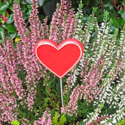 9 schimbari mici prin care putem regasi fericirea mare!