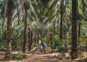 Cum să călătorești sustenabil în Ras Al Khaimah, emiratul naturii