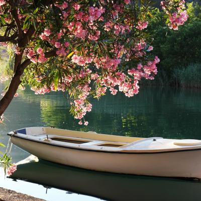 Peisaje și citate de primăvară emoționante