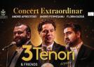 3 tenori ieșeni, Irina Baianț, Gheorghe Zamfir, Monica Anghel și mulți altii, într-un concert-eveniment de excepție 
