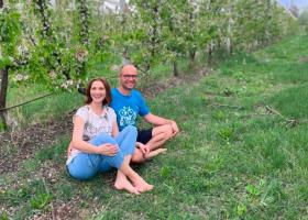 Secretul din spatele unei livezi de cireșe bio: de la sol viu la agricultură regenerativă