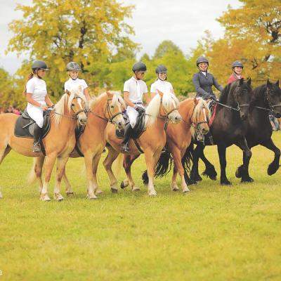 Concursul Complet Internațional de la Karpatia Horse Show, Florești, Prahova 
