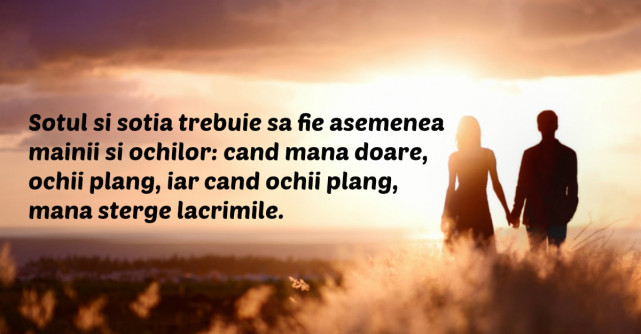 30 de proverbe japoneze pentru momentele in care simti ca nu mai poti