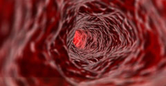 Afla-ti trasaturile de personalitate in functie de grupa sanguina