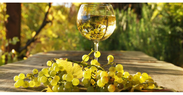 Descoperire incredibila despre VINUL ALB. Toata lumea trebuie sa stie asta 