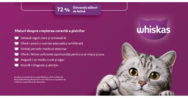 Studiu Whiskas: 71% dintre români cred că viața lor s-a îmbunătățit de când au pisică