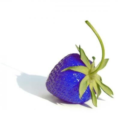 Capsunile albastre: mit sau realitate?