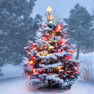 Video: Imparte Craciunul in acest an. Clipul EMOTIONANT inspirat din realitate