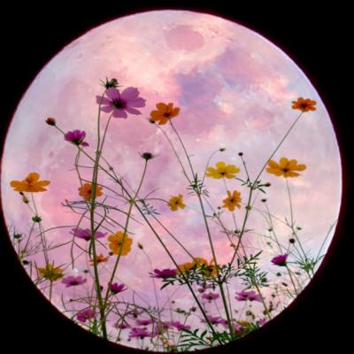 Cele trei daruri ale lunii martie