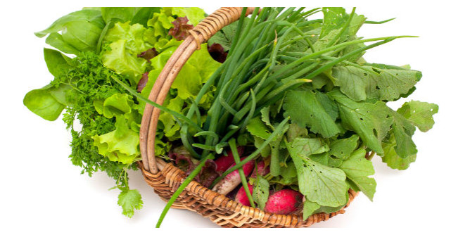 De ce nu este bine sa tii verdeturile de primavara la intuneric?