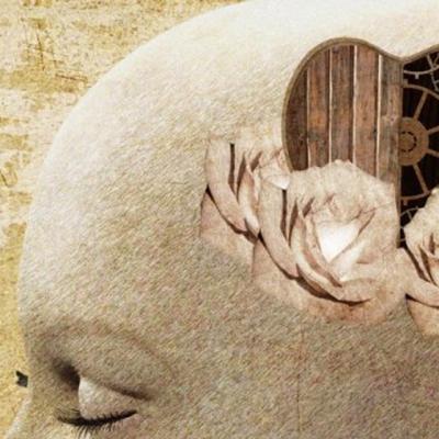 Important de citit: Sanatate pentru inima si creier