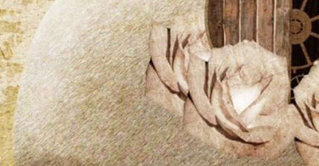 Important de citit: Sanatate pentru inima si creier