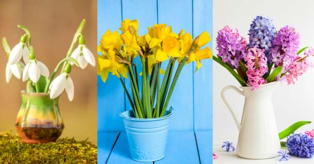 Alege o floare de primăvară și noi îți vom spune cum vor fi următoarele luni pentru tine