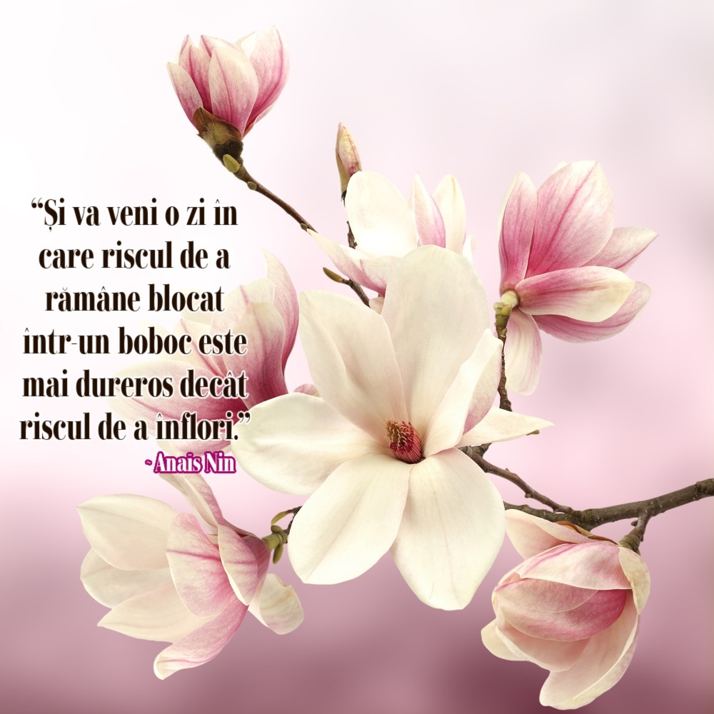 Ilustrație pentru ziua 27