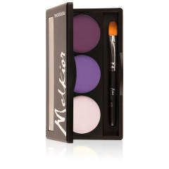 PALETA 3 FARDURI MATE DE PLEOAPE ROYAL PURPLES 6gr