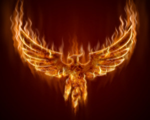Pasare Phoenix