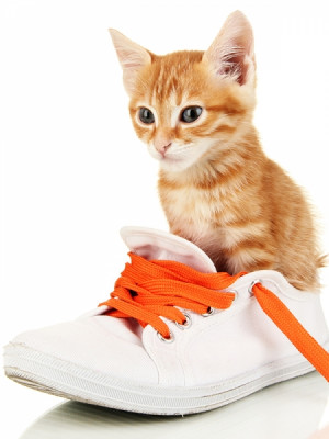 probezi noi combinatii de haine