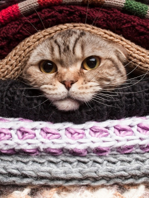 stai in pat deprimata