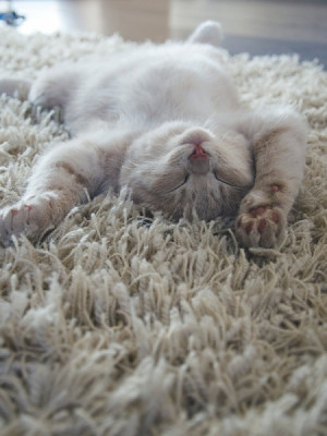 stai tolanita si sa te relaxezi