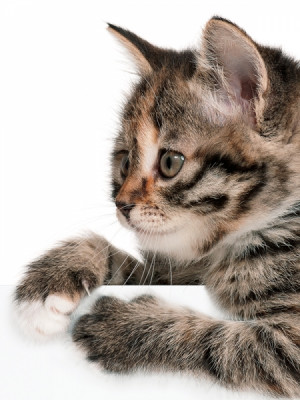 medii, cat sa pot imbratisa