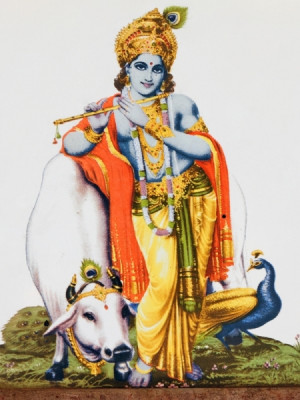 Krishna