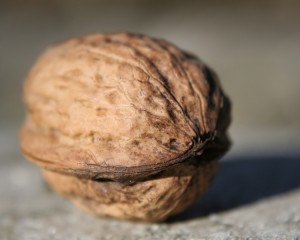 Nuci 
