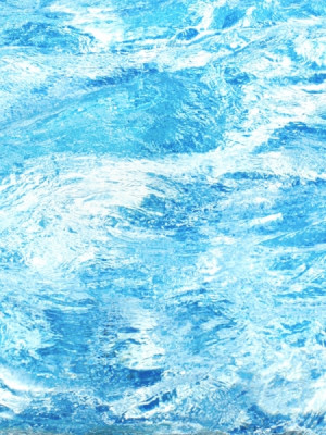 Apa (Rac, Scorpion, Pesti)