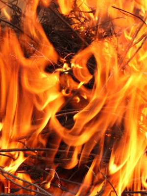 Foc (Berbec, Leu, Sagetator) 