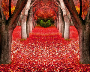 In general tonurile calde, solare, ca rosu, portocaliu sau galben. 