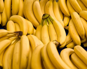 Niciuna, bananele nu cresc in cocotier