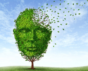 Puterea de a sterge amintirile urate.