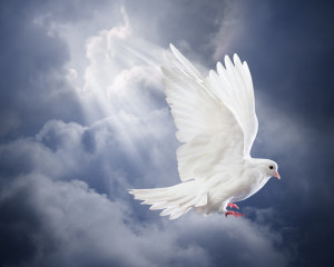 Puterea de a instaura pacea in lume.