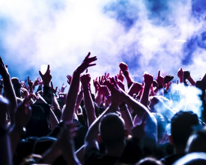 In mijlocul multimii la un concert
